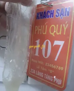 Ảnh đánh giá gái gọi