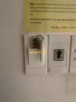 Ảnh đánh giá gái gọi