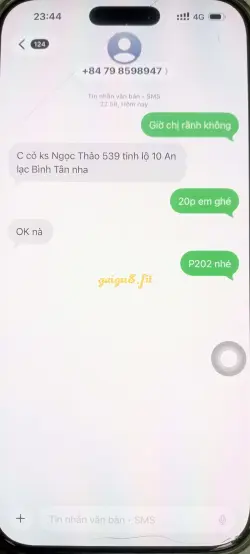 Ảnh đánh giá gái gọi
