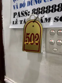 Ảnh đánh giá gái gọi
