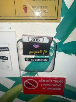 Ảnh đánh giá gái gọi