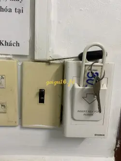 Ảnh đánh giá gái gọi