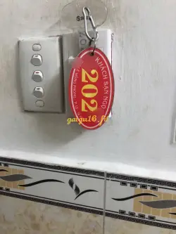 Ảnh đánh giá gái gọi